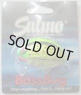 画像: Salmo Bass Bug　GB