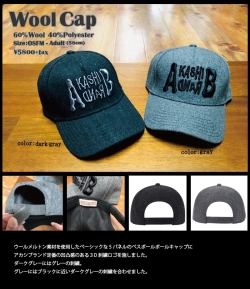 画像1: アカシブランド　Wool Cap　（クリックポス不可）